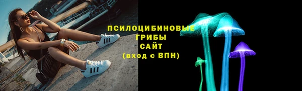 бошки Вяземский