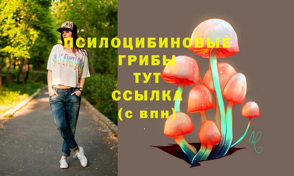 хмурый Вязьма