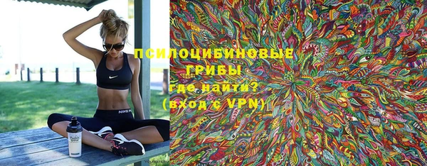 хмурый Вязьма