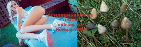 бошки Вяземский